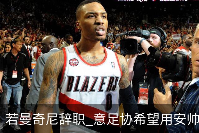 若曼奇尼辞职 意足协希望用安帅或卡纳瓦罗替代