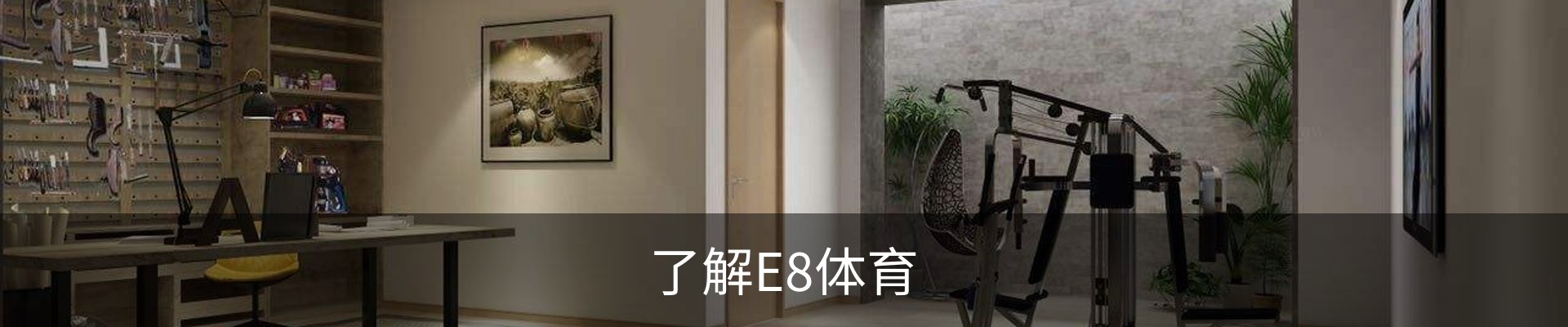 了解E8体育